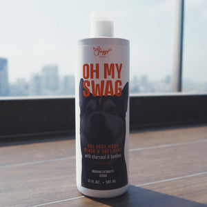 Charcoal Body Wash – OH MY SWAG